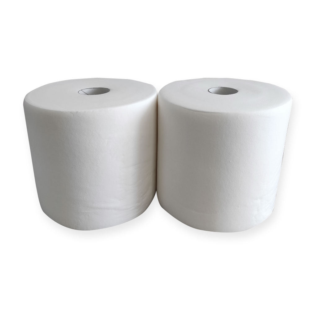 Essuie Soft professionnel - 250 formats - 25 x 35 cm - 2 rouleaux par colis REF 655NP