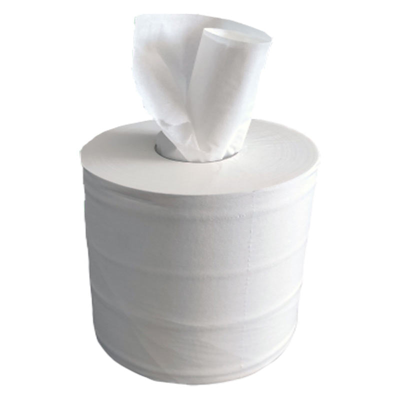 BOBINES DEVIDAGE CENTRALE ECOLO COMPACT BB'MAX - 900 FORMATS - 19 X 30 CM