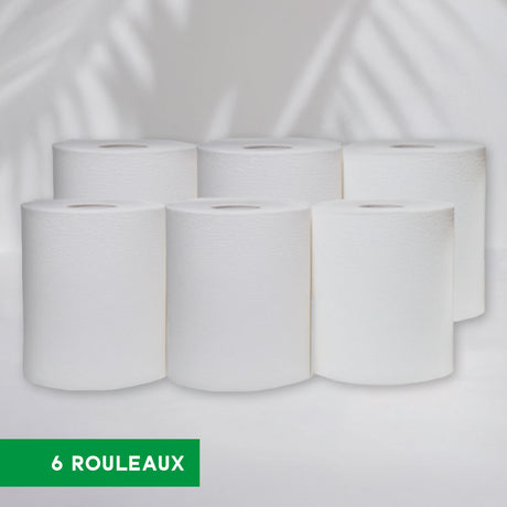 BOBINES DEVIDAGE CENTRALE MAXI'ROLL - 450 FORMATS - 19 X 24 CM