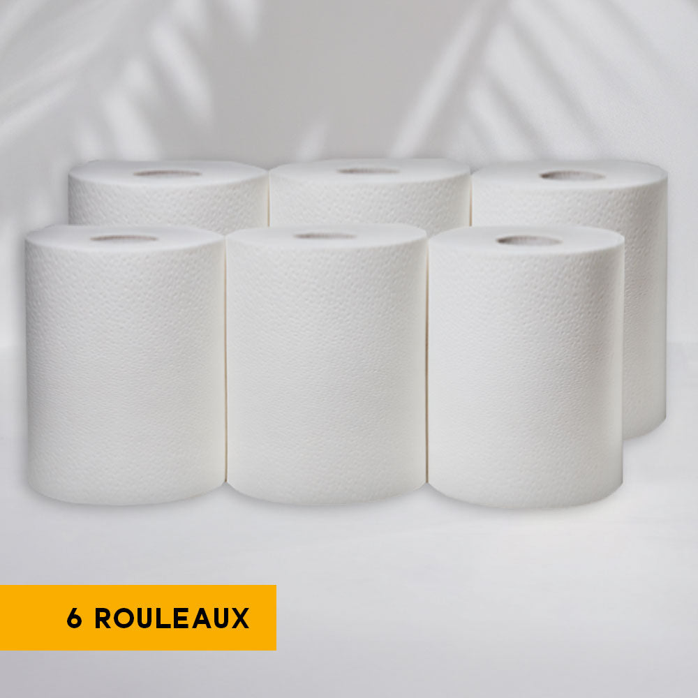 MAXI'ROLL CENTRAL UNWINDING REELS - 450 SIZES - 19 X 30 CM