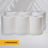 MAXI'ROLL CENTRAL UNWINDING REELS - 450 SIZES - 19 X 30 CM