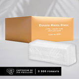 EMBOSSED GLUED HAND TOWELS IN INTERESTED V-FOLD - PACKAGE OF 3000 SIZES - 21 X 23 CM
